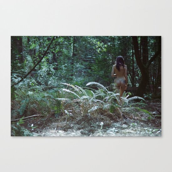 Redefinition Canvas Print