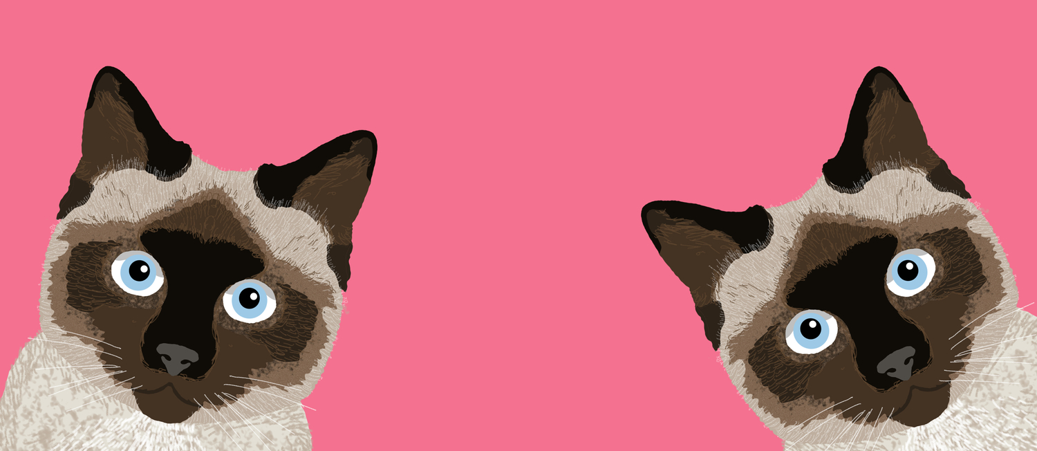 Peeking Siamese Cat Funny Cat Meme For Cat Lovers Cat Ladies Gifts For Cat People Coffee Mug By Petfriendly Society6
