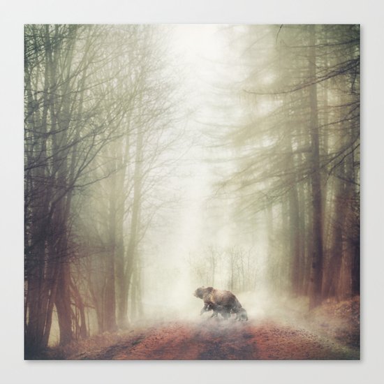 Follow Me Canvas Print