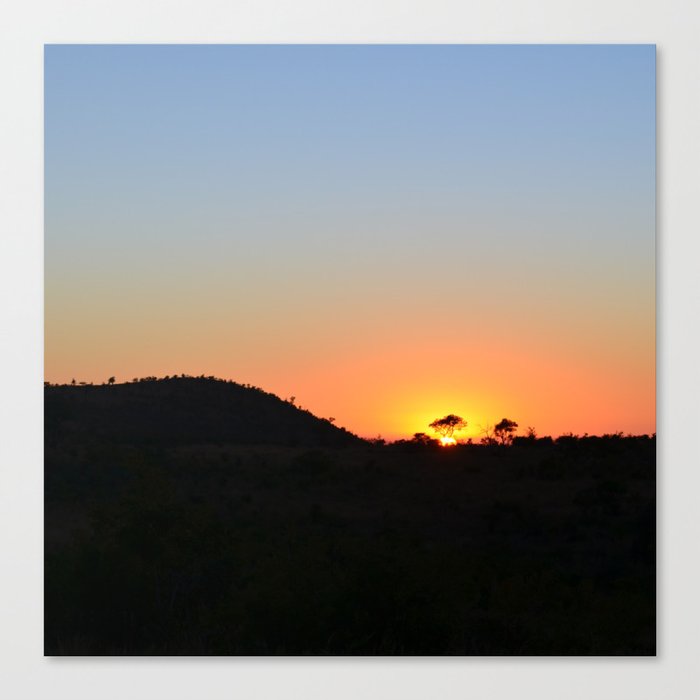 South Africa Photography - Silhouette Of A Acacia Tree In The Sunset Canvas Print