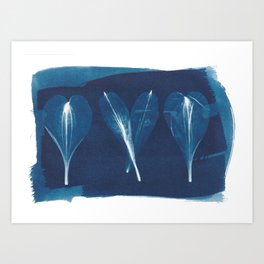 Cyanotype petal trio Art Print | Flowers, Low Fi, Color, Three, White, Brushstrokes, Plants, Nature, Shapesinnature, Analogue 