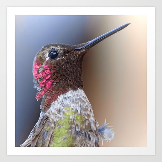 Bird color 5 Art Print