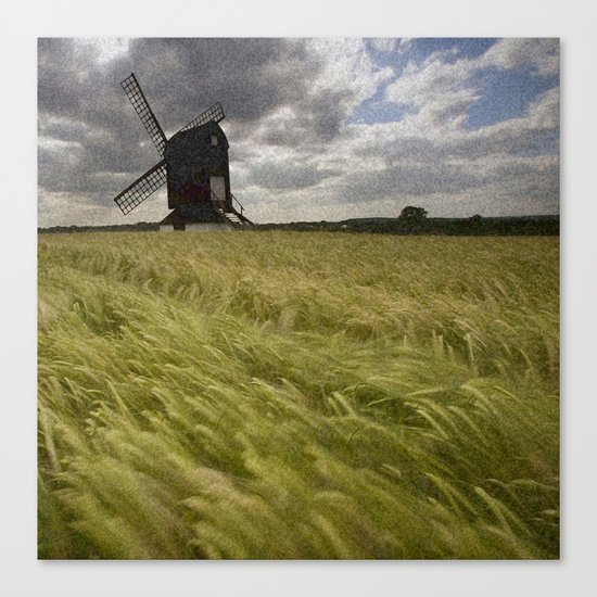 field Canvas Print