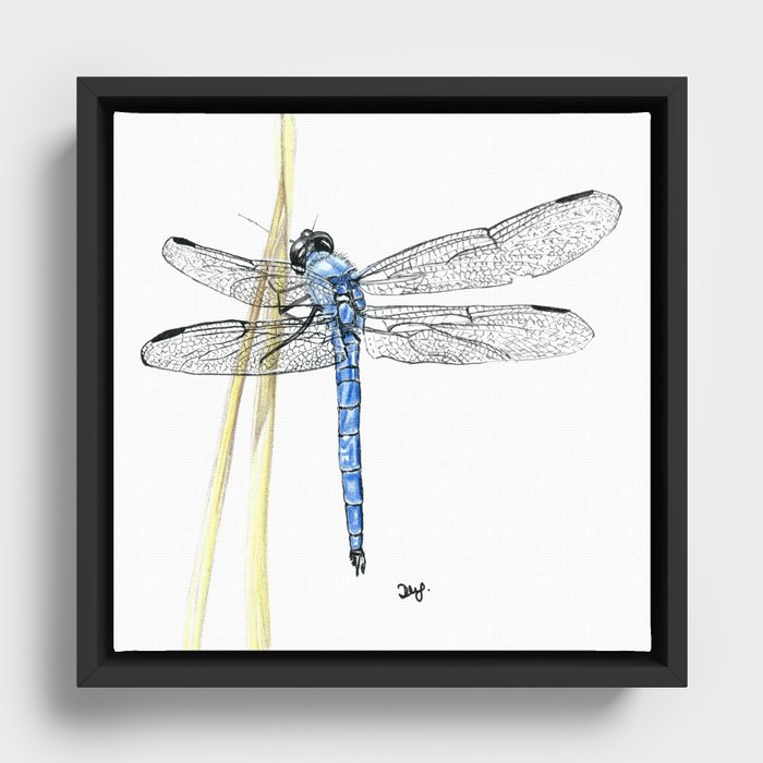 Dragonfly Framed Canvas