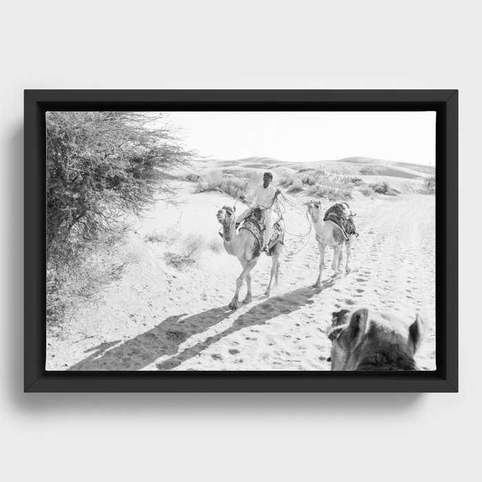 Jaisalmer Desert Camel Ride Framed Canvas
