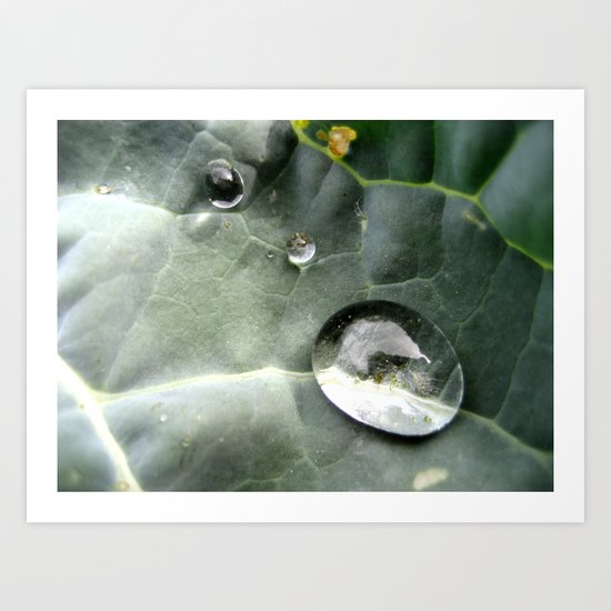 One Big Drop Art Print