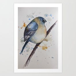 Watercolor Bird  Art Print