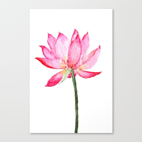 pink lotus flower Canvas Print