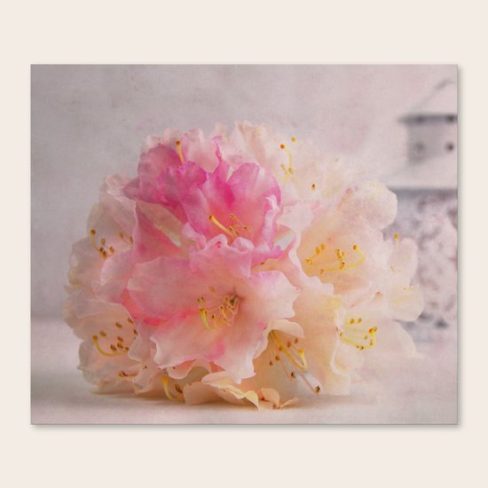 Rhododendron Canvas Print