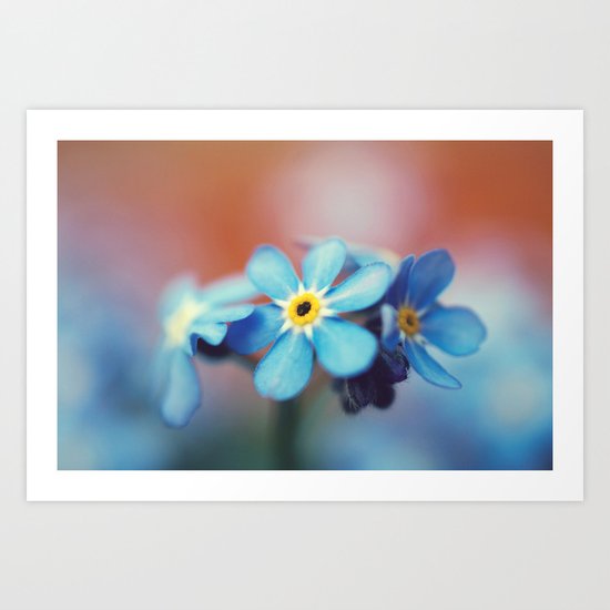 Forget Me Not Art Print