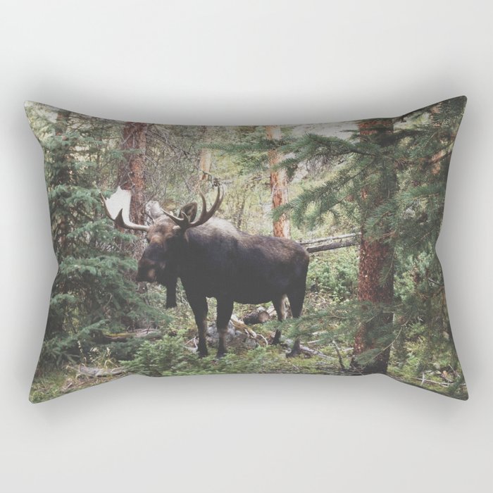 Rectangular Pillow