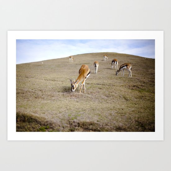 Gizelles Art Print