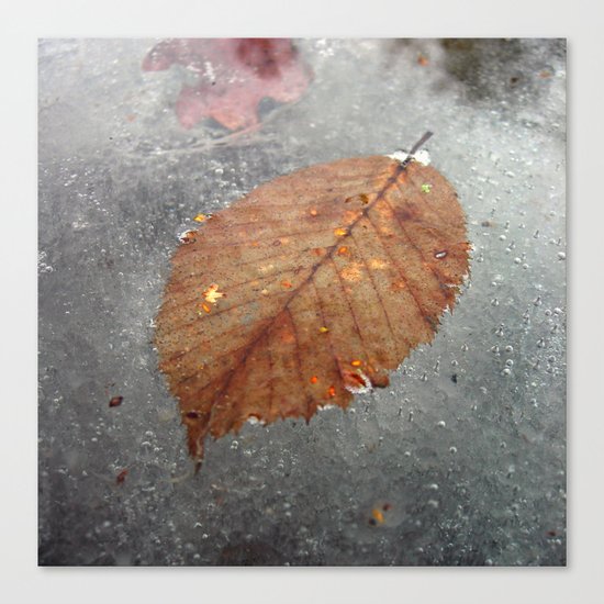 cold winter III Canvas Print