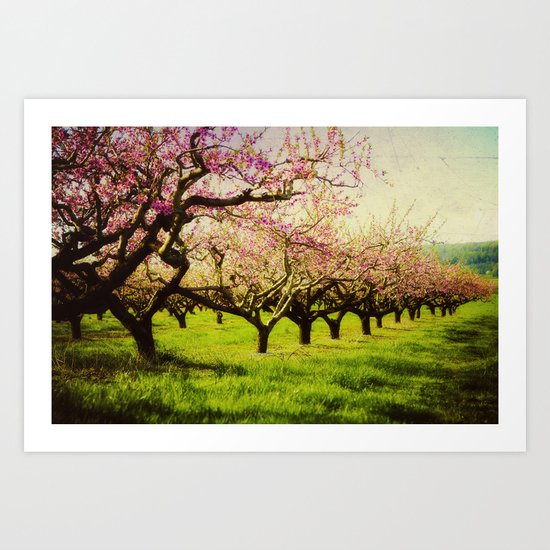 Orchard play Art Print