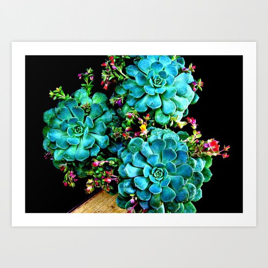 Beautiful Autumn plant green, blue Art Print