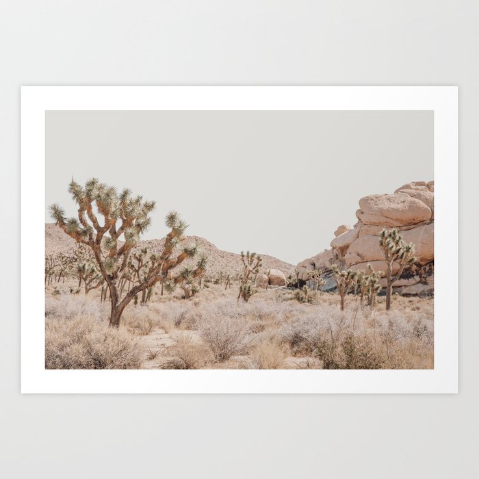 Pale Desert #4 - Joshua Tree Cactus, Nature, Landscape Photography Art Print