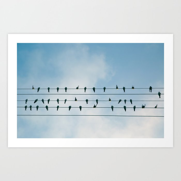 Birds On A Wire Art Print By Adventurecalling Society6