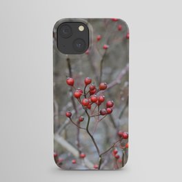 Winter berries iPhone Case