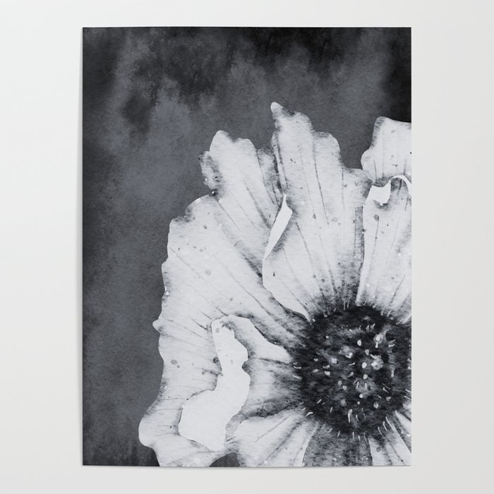 Black and White Poppy Poster