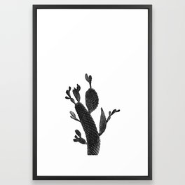 Cactus Black and White 02
