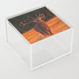 Deer Acrylic Box