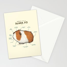 Anatomy of a Guinea Pig Stationery Card