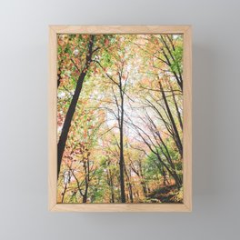 Autumn Forest Framed Mini Art Print