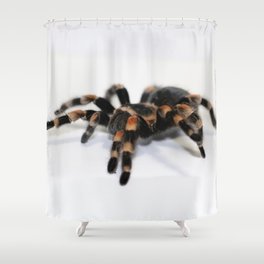 Tarantula Shower Curtain