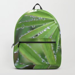 Dewdrop Backpack