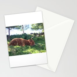 Fluffy Highland Cattle Cow 1184 Stationery Card