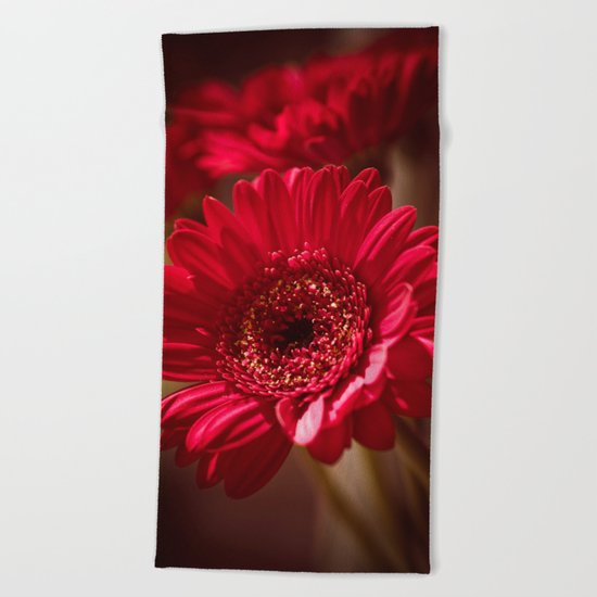 Beautiful Red Gerbera Beach Towel