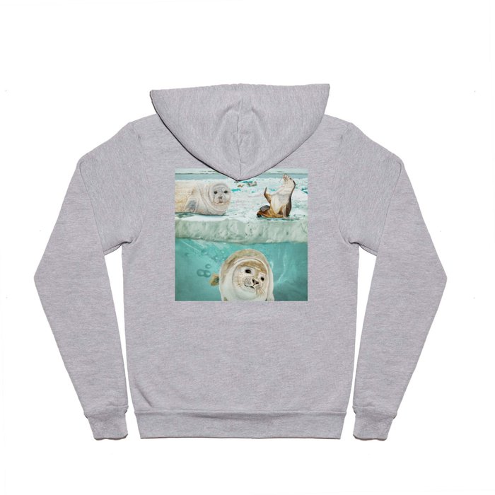 Arctic Expedition Hoody