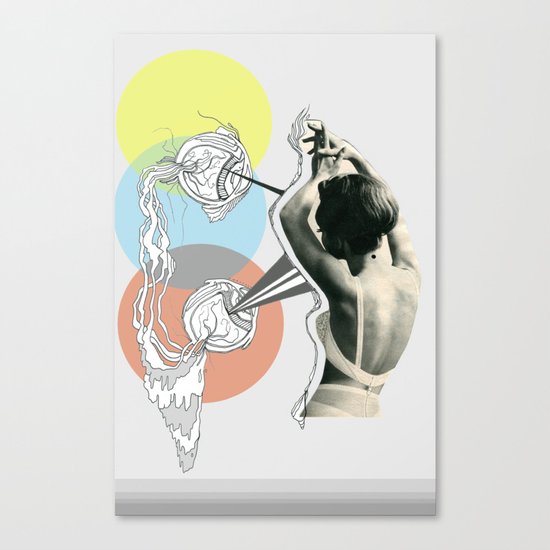 fish eye Canvas Print
