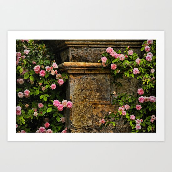 Stones and Roses Art Print