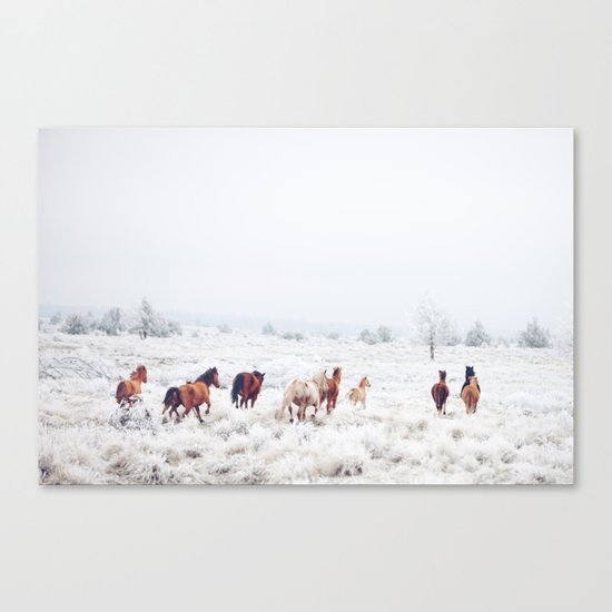 Winter Horses Canvas Print