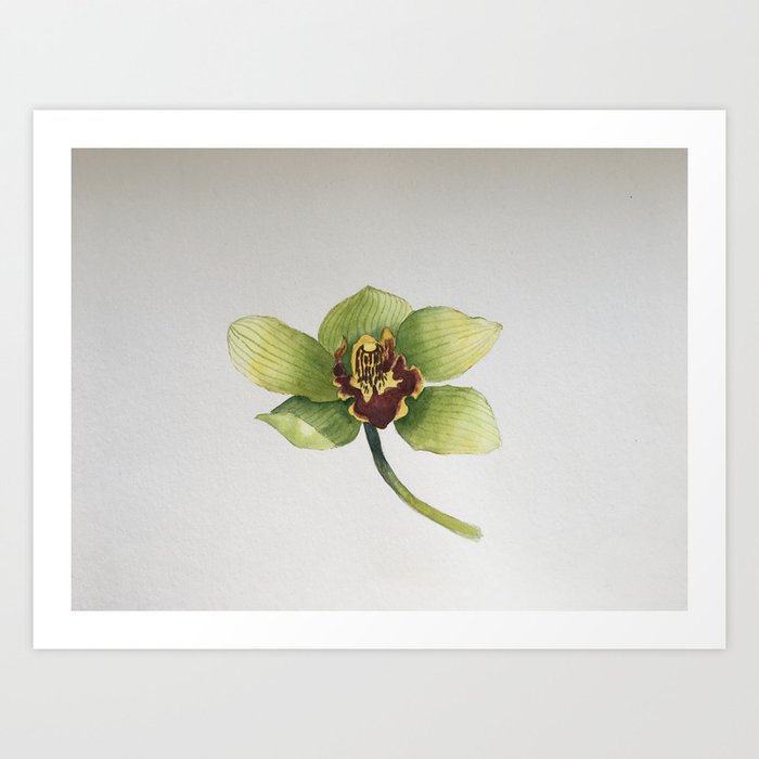 Green Orchidee Orchids Watercolor Botanical  Art Print