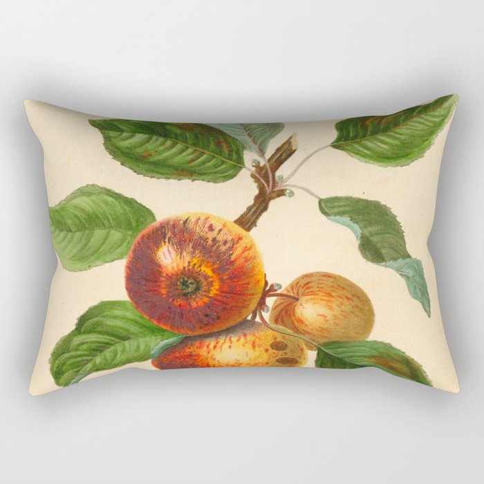 Rectangular Pillow