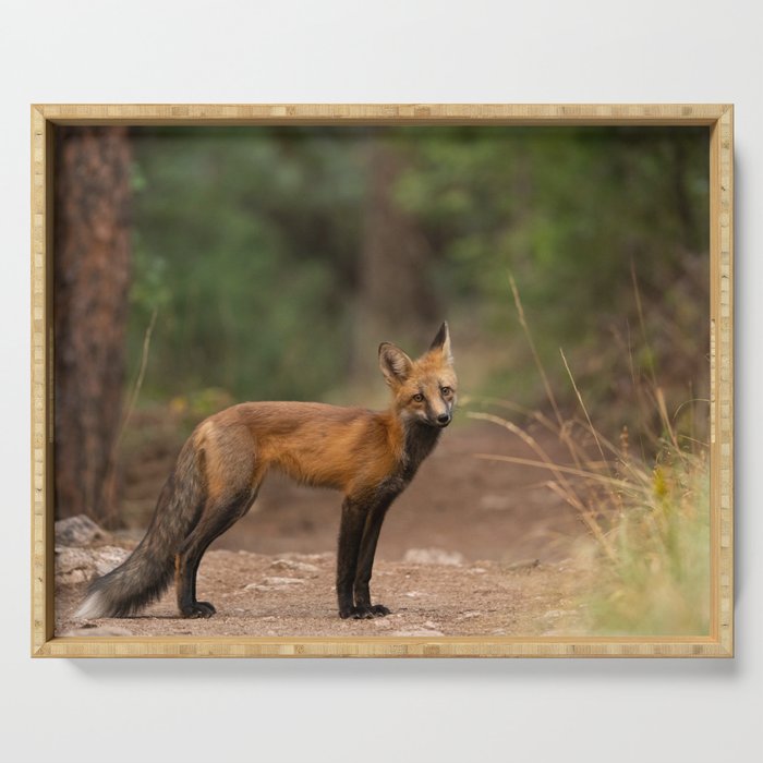 Red Fox  Serving Tray