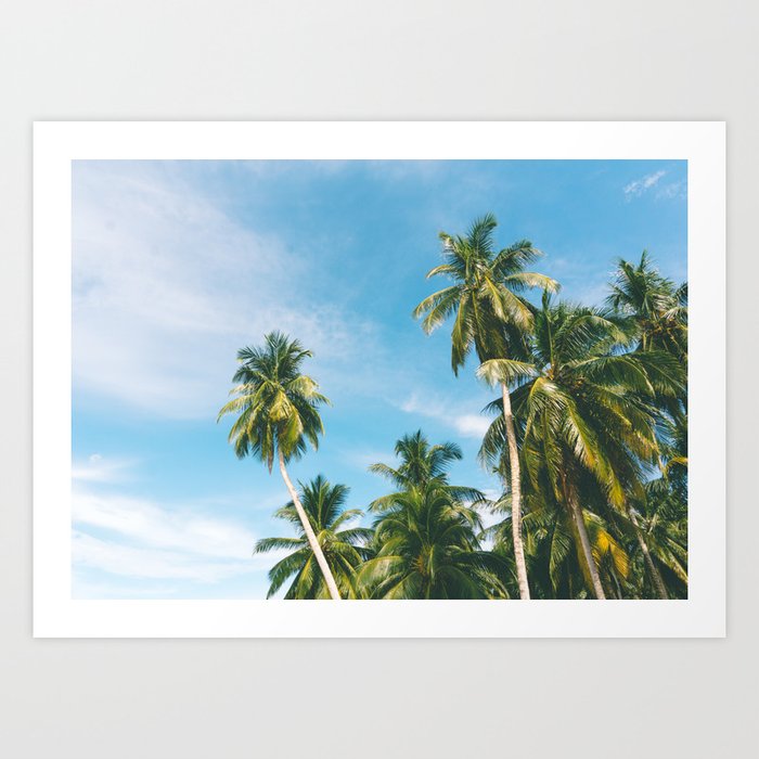 Palm Trees on the San Blas Islands, Panama Art Print
