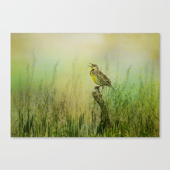 The Meadow Lark Sings Canvas Print
