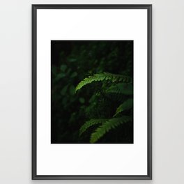 Fern in the Wilds Framed Art Print