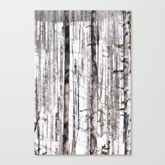 Winter Camouflage Canvas Print