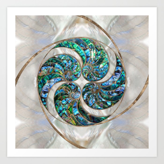 Nautilus Shells - Abalone and Pearl Art Print