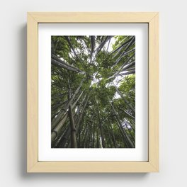 Inside the Bamboo Rainforest Recessed Framed Print