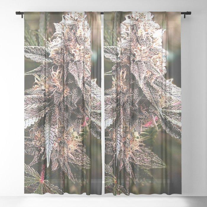 Bud and Leaf Sheer Curtain