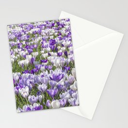 Floral white and purple crocuses- dutch spring flowers, veri peri nature photography  Stationery Card