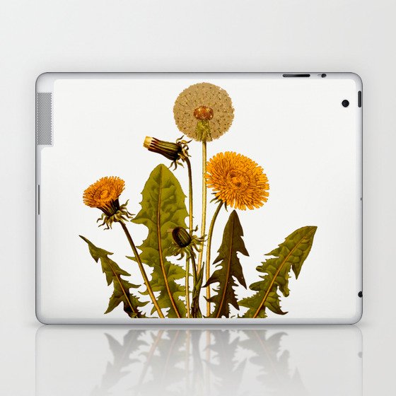 Botanical Dandelions Laptop & iPad Skin