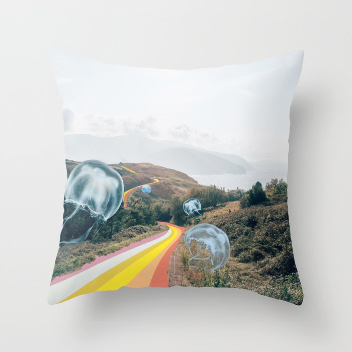 Throw Pillow