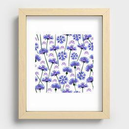  Garden with cornflowers, wild flowers, white background. Recessed Framed Print