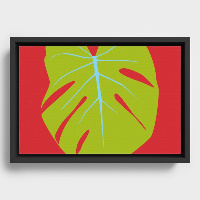 Tropical Leaf - Young Monstera Framed Canvas
